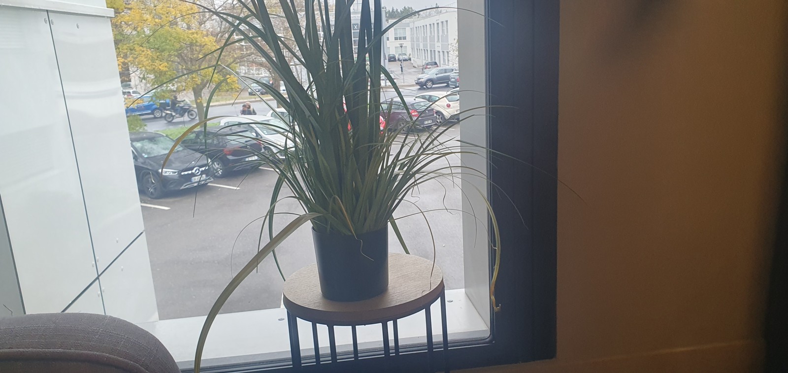 décorateur d’intérieur pour pme dans la tech à Fécamp