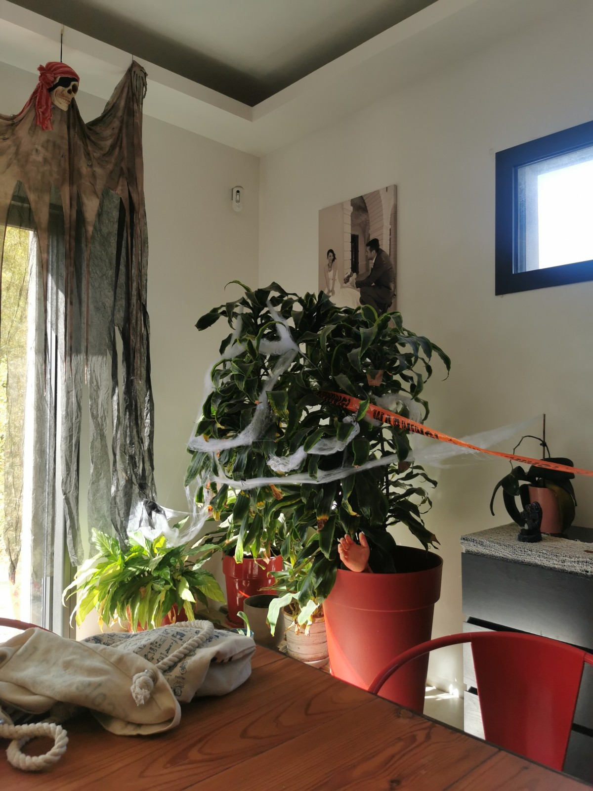 idée de décoration pour restaurant select à Aubagne