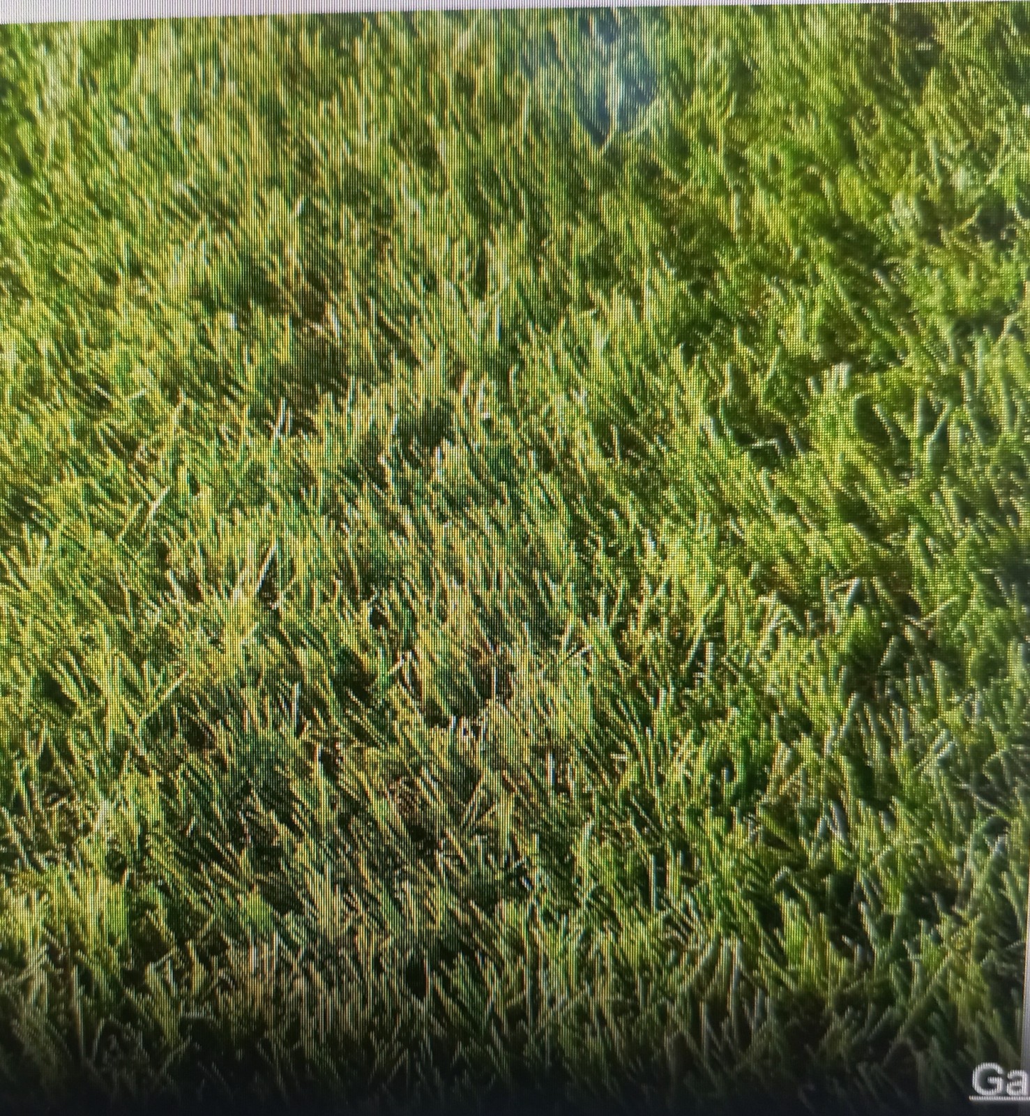 décorateur d’intérieur pour pme dans la tech à Marseille centre