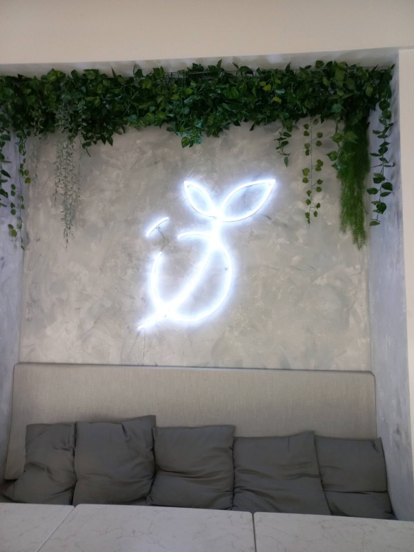 Où trouver un restaurant biologique sur Montpellier 