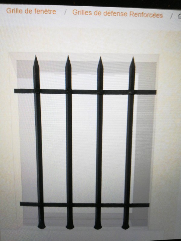 Fabrication et installation de grille de défense en fer forgé noire et sur mesure à Marseille dans les Bouches-du-Rhône