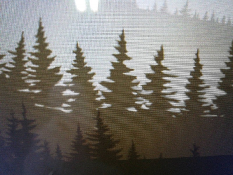 Conception et réalisation d'un jardin paysagé dans un mas à Saint-Rémy-de-Provence à côté de Maussane-les-Alpilles