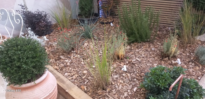 réalisation d'un parc paysagiste créer par un jardinier professionnel sur Uzès proche de Remoulins