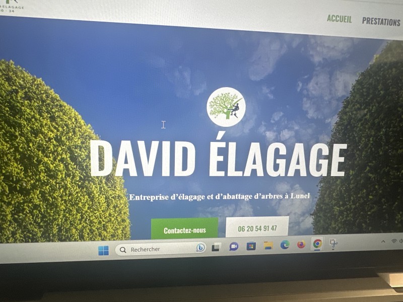  où trouver une entreprise d’élagage et abattage d’arbre à Montpellier dans l’Hérault 