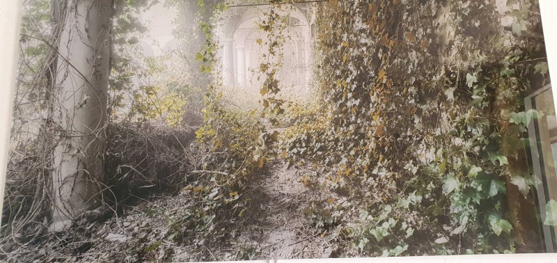 Entreprise pour faire domiciliée sa structure à Saint-Jean-de-Védas dans l'Hérault