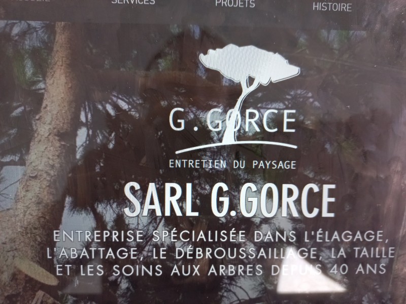 trouver une entreprise spécialisée dans l'élagage de pin sur Saint jean de vedas proche de Montpellier 