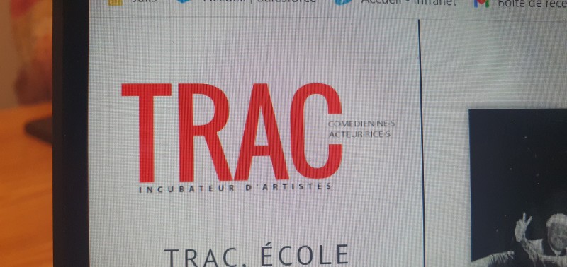 Où trouver des cours de théâtre professionnalisant à Montpellier dans l'Hérault