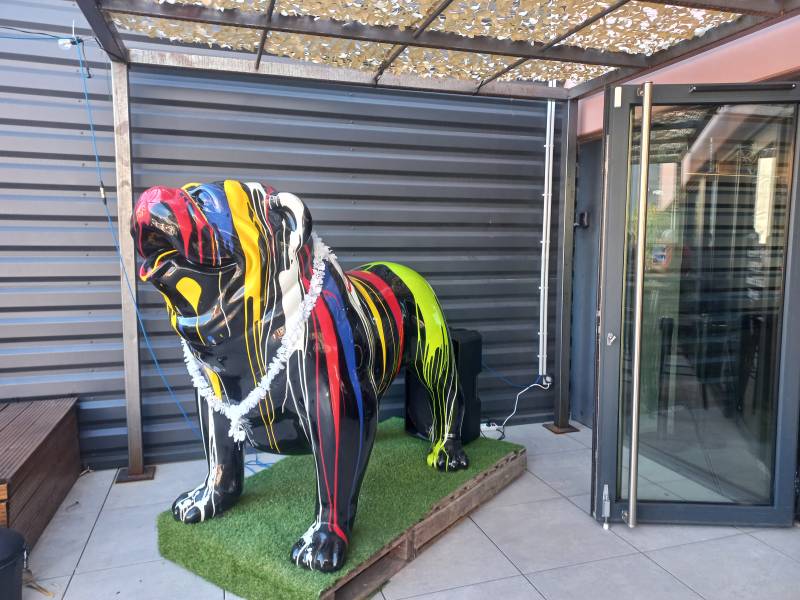 Bar ambiance musicale et tapas pour afterwork à Salon-de-Provence proche Miramas