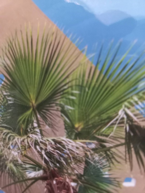 Promoteur immobilière pour programme appartement neuf sur Montpellier à côté de Fabrègues