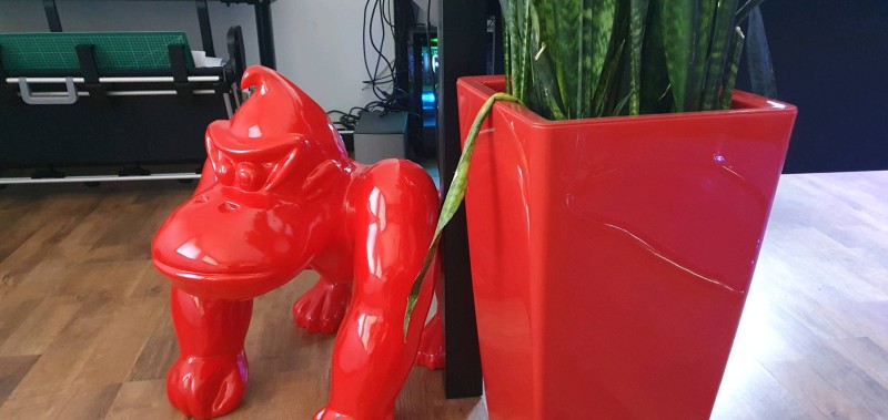 Aménagement paysager d'extérieur d'hôtel autour de piscine à Montpellier dans l'Hérault