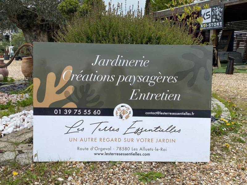 Pépinière pour achat un gros olivier en pot à Saint Germain en Laye dans les Yvelines