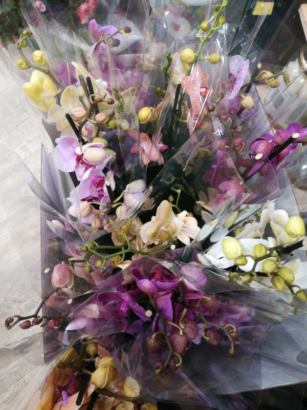 Où faire livrer des fleurs ou un bouquet rond par un fleuriste sur Lunel à côté de Aimargues