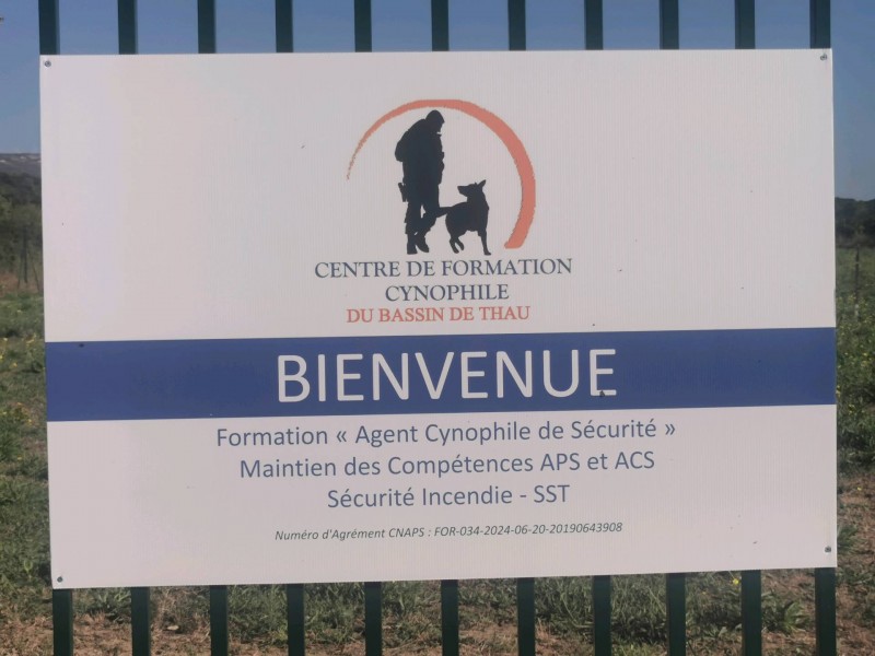 Formation agent cynophile pour la sécurité et détection explosif Montpellier Hérault