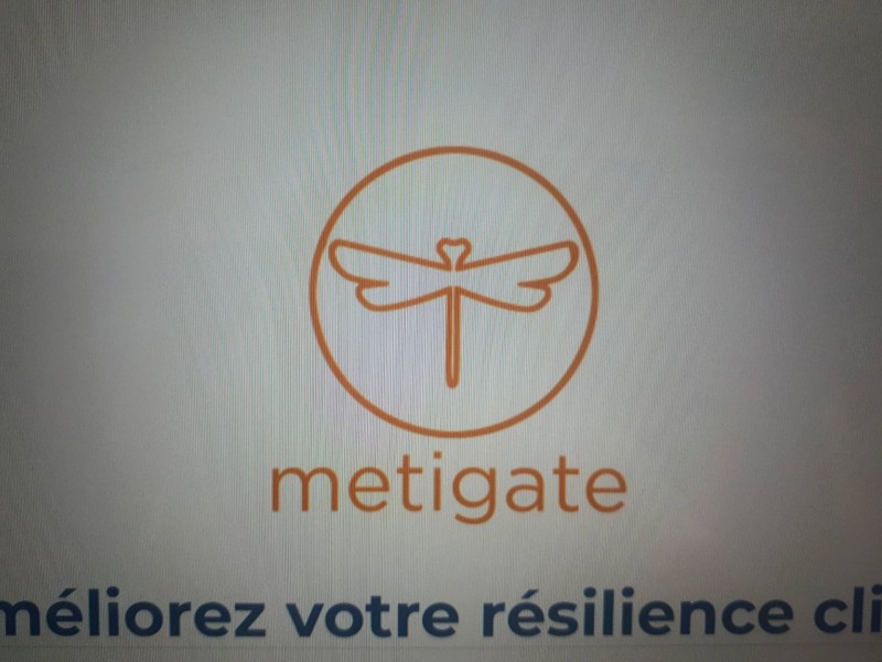 Accompagner une entreprise dans l'adaptation du climat à Vincennes proche de Paris