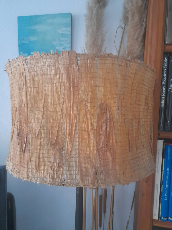 Coach en nutrition alimentaire pour personne âgées 30 à 45 ans sur Montpellier dans l'Hérault