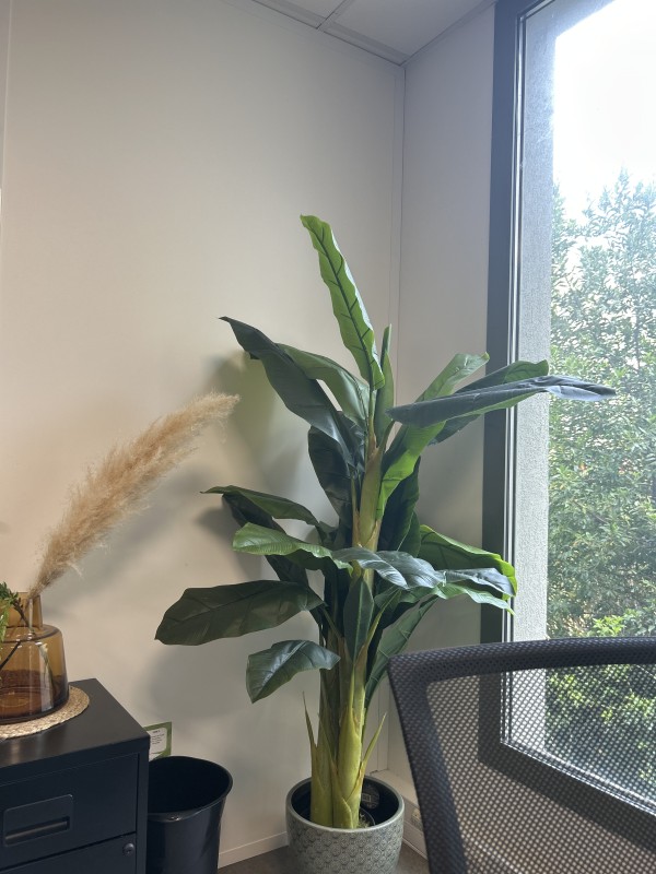 Cours collectif, en entreprise à SETE dans le bassin de thau