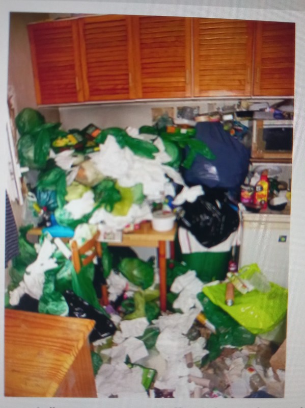 Où trouver un prestataire qui nettoie les syndrome de diogène. Dans une villa indépendante. Sur baillargues proche de Mauguio.