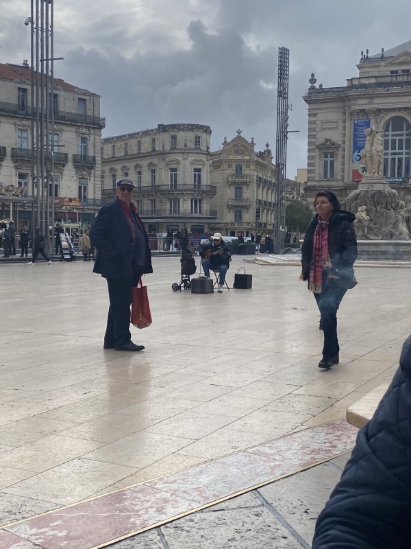  où trouver un spécialiste pour tailler Olivier à Saint Clément de Riviere dans la région de Montpellier 