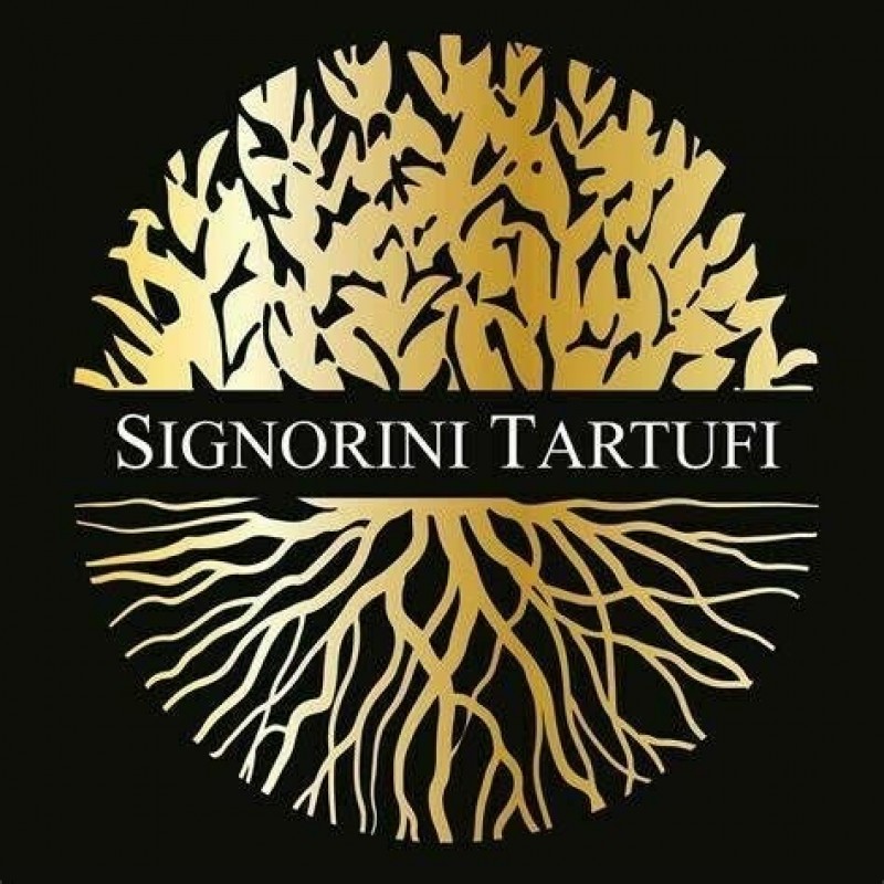 Où trouver une épicerie fine spécialiste de la poudre de truffe à Montpellier dans l’Hérault ?