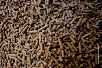 Vente de granulés de bois à Lyon