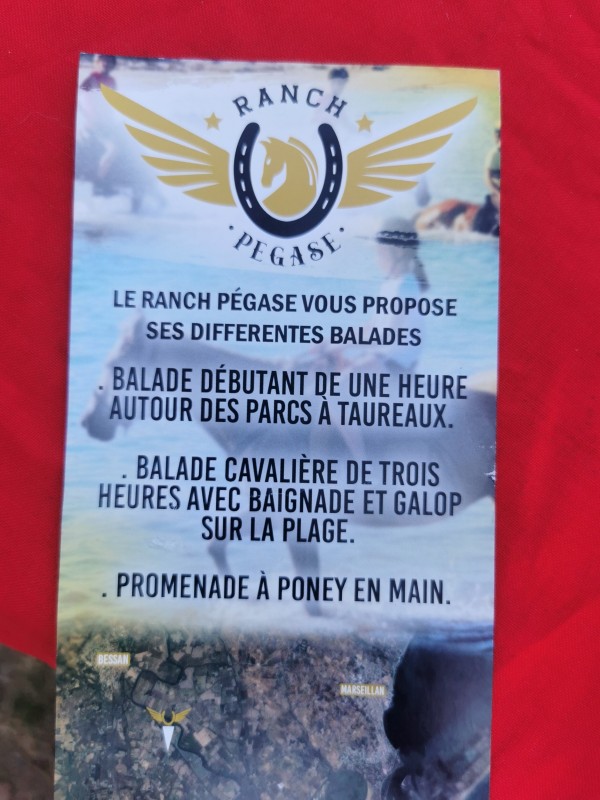 où trouver un centre équestre qui pratique le débourrage des chevaux sur Bessan non loin de Béziers