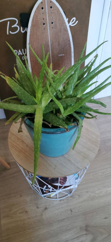 Création de terrasse bois sur Andernos-les-Bains