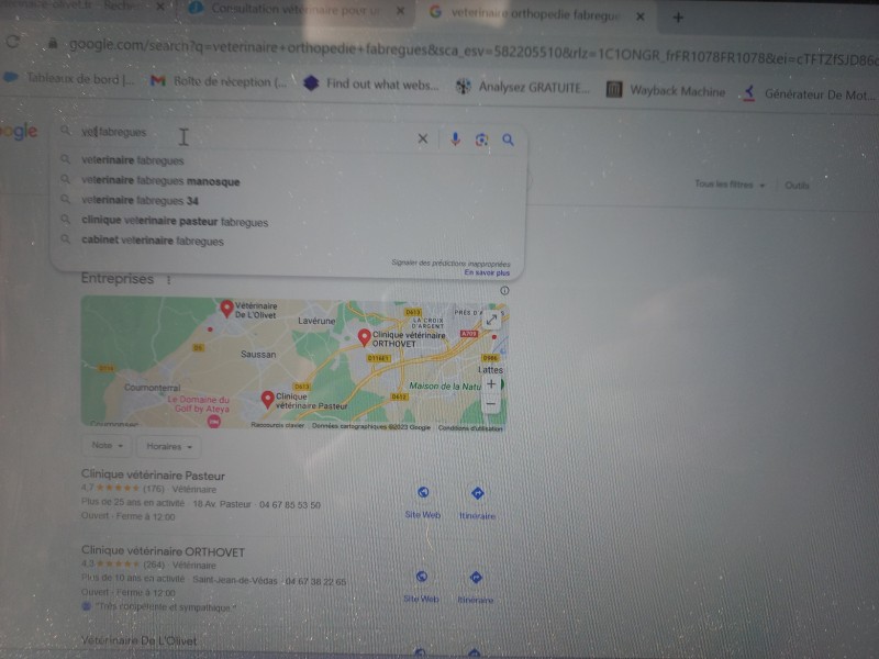 trouver en urgence un vétérinaire spécialiste de l'ophtalmologie sur Fabrègues proche de Pignan