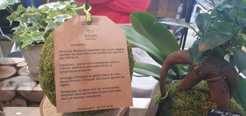 Où trouver un créateur de mini Jardin Japonais et  Art Japonais à Jacou proche de Montpellier