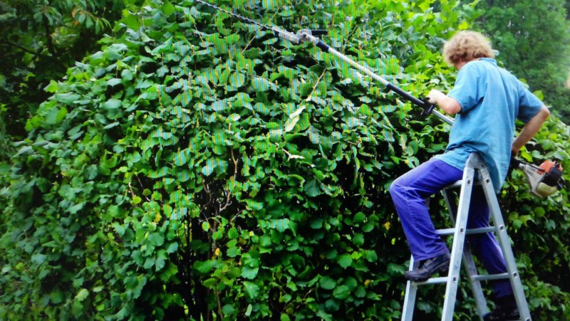 Aménagement de jardin extérieur 83550 Vidauban Le jardin de Sam