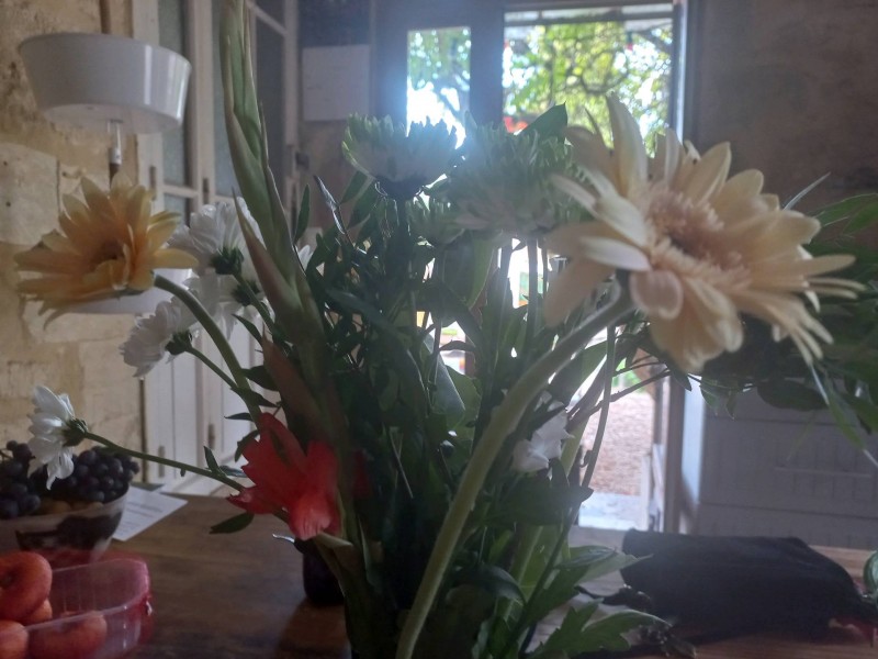 Entreprise de jardinage paysagiste pour aménagement d'un jardin méditerranéen à Saint-Rémy-de-Provence dans les Alpilles