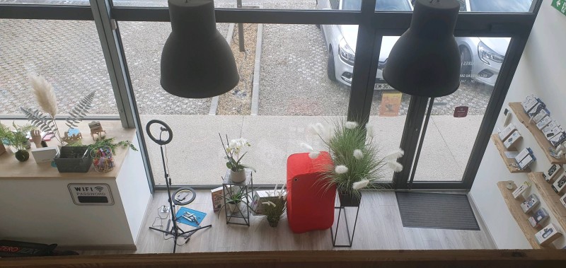 Spécialiste de la réparation de vitre arrière I Phone Lattes