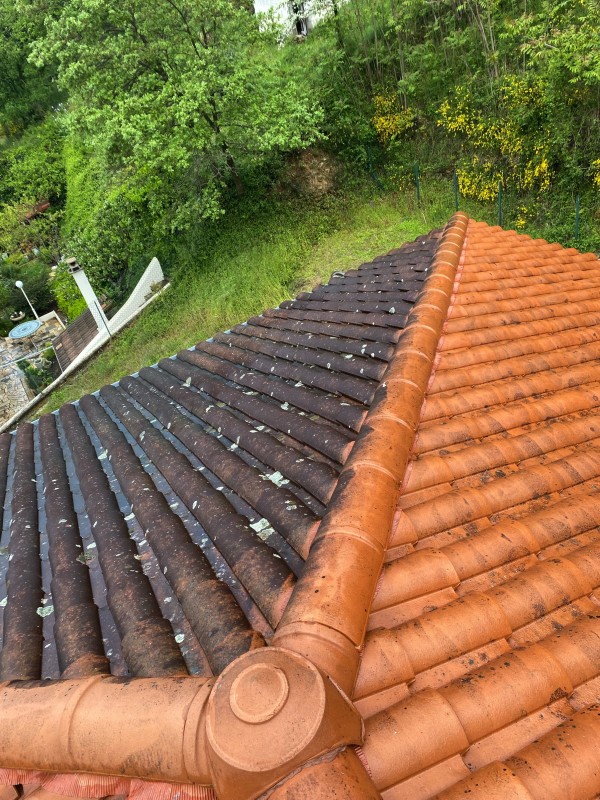 nettoyage demoussage toiture Louhans