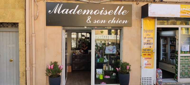 Prix pour un toilettage de cocker Anglais à Aix-en-Provence