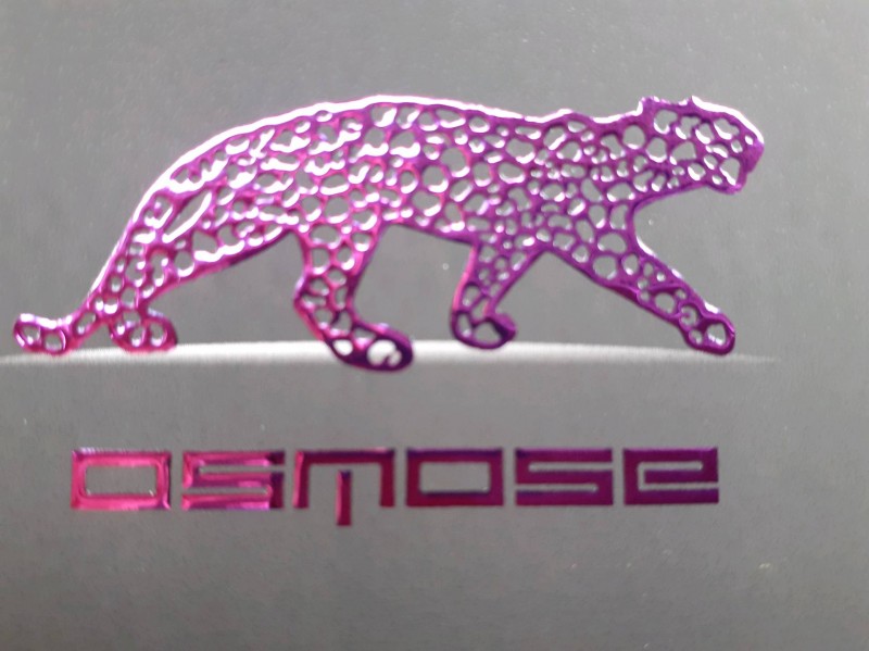 Pose enseigne Magasin lumineuse à Sainte-Maxime à proximité de Saint-Tropez dans le Var.