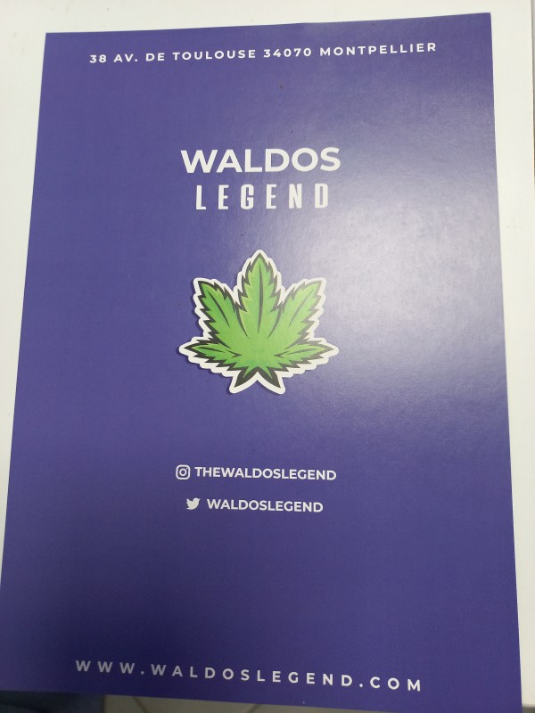 acheter des fleurs de cbd gelato à montpellier dans l'Hérault