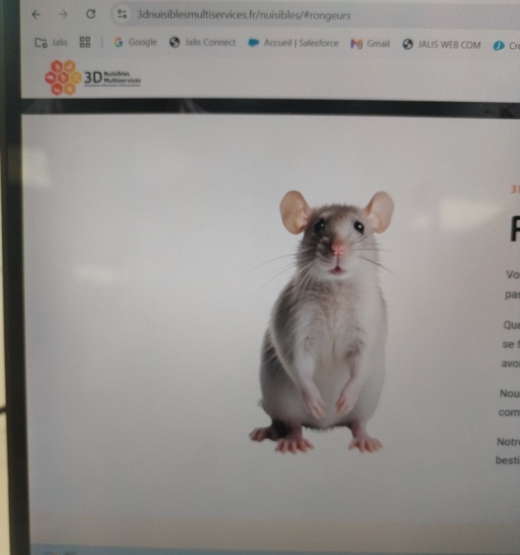 trouver une entreprise de dératisation suite à une invasion de rat dans mon grenier à Valréas