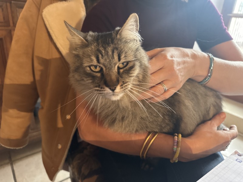  Best venues wedding in South of France 