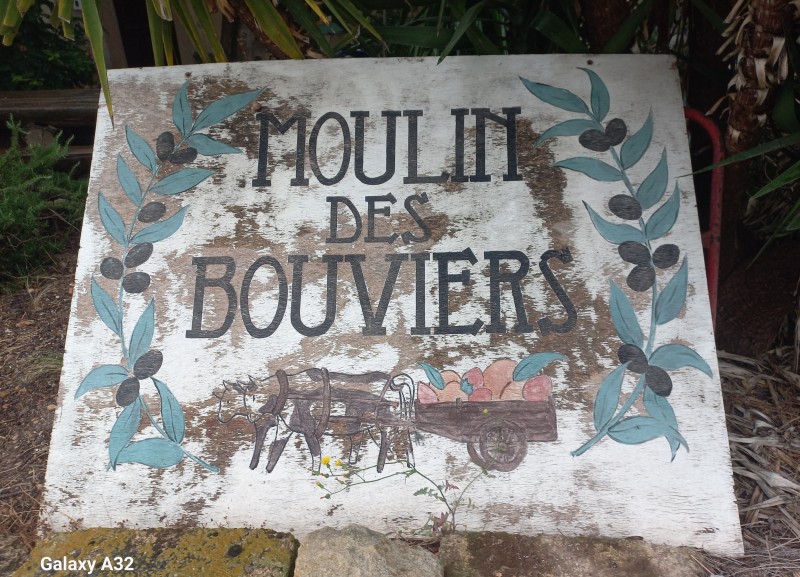 centre formation  certifié Qualiopi pour formation oléicole en Occitanie et PACA