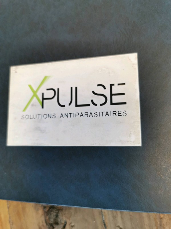 faire appel à un professionnel pour les punaises de lit