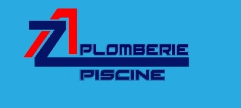 Devis pour rénovation de piscine en pvc armé à Roman sur Isère 