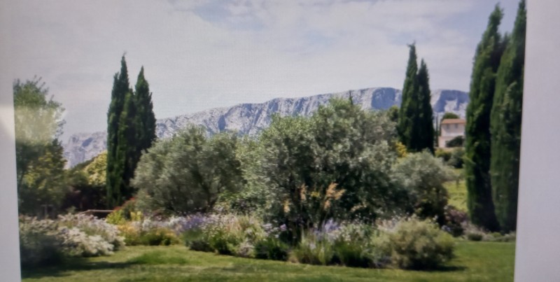 entreprise spécialisée dans l'aménagement et l'architecture paysagère d'un jardin autour d'une piscine à Aix-en-Provence proche de salon