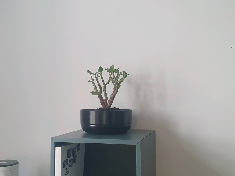 Accompagnement pour arrêter la cigarette à Baillargues proche de Montpellier