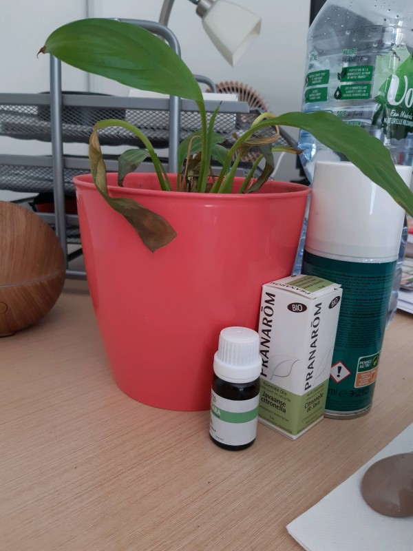 Entreprise de nettoyage de bâtiment à Montpellier dans l'Hérault