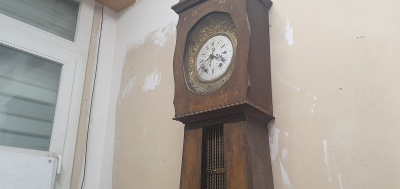 Ou faire elaguer un arbre à Montpellier dans l'Hérault