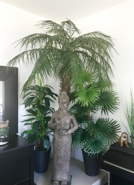 Acheter palmiers articficiels pas cher à St genis laval proche de lyon 2