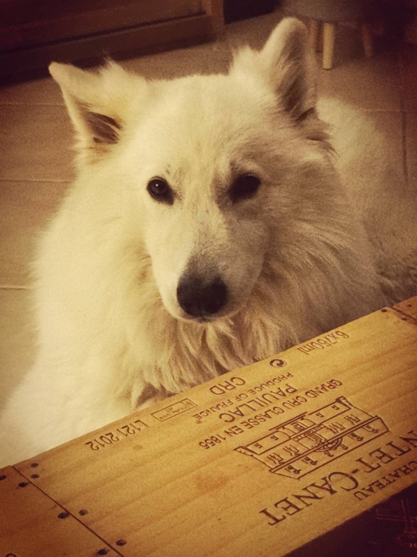 Cours de formation en photo donner sur 3 semaines à Montpellier Centre