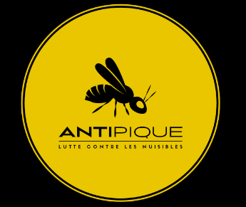 destruction en urgence nids de guêpes et frelons à mandelieu la napoule côte d'azur