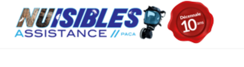 entreprise pour élimination punaise de lit près de Nice