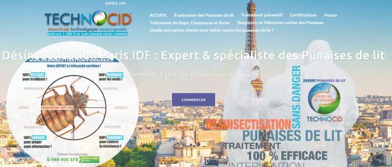 Désinsectisation punaises Marseille 13002