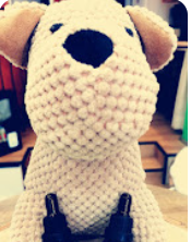 CBD pour traitement chien epilepsie